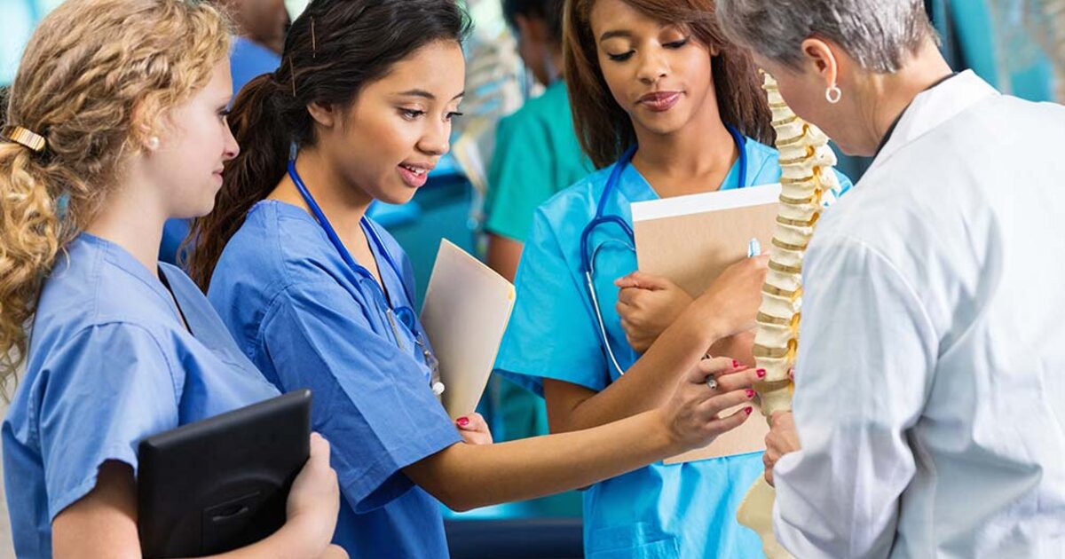 Nursing students examine a model of human vertebrae with an instructor watching their activity.