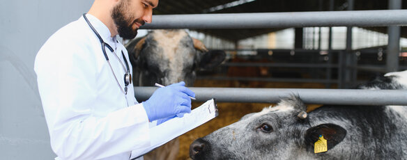 Man collecting field notes and animal observations