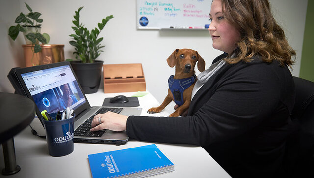 Woman works on her computer with a little dog nearby as she finishes college online