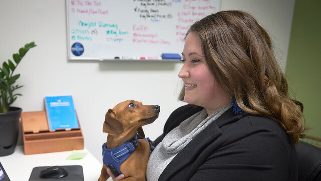 Jill Neuhaus works online on her laptop with a little dog for company.
