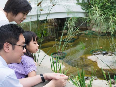 A family learning environmental health from a distance by looking at an ecosystem
