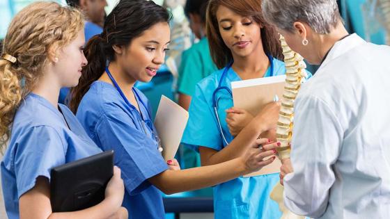 Nursing students examine a model of human vertebrae with an instructor watching their activity.