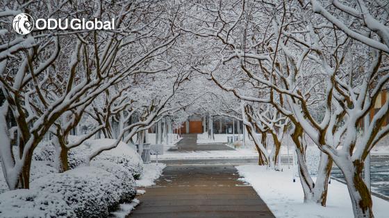 ODUGlobal Zoom background picturing snow covered trees alongside a sidewalk on main campus