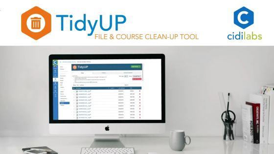 TidyUp File & Course Cleanup Tool