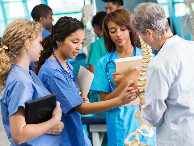 Nursing students examine a model of human vertebrae with an instructor watching their activity.